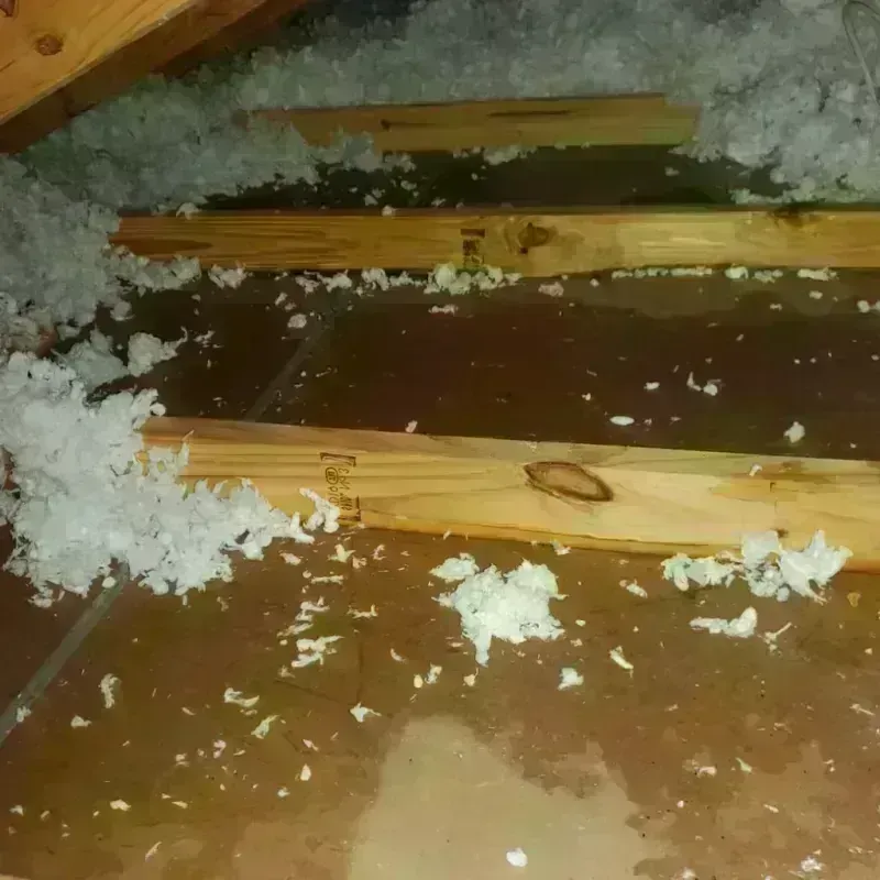 Attic Water Damage in Richland, MO