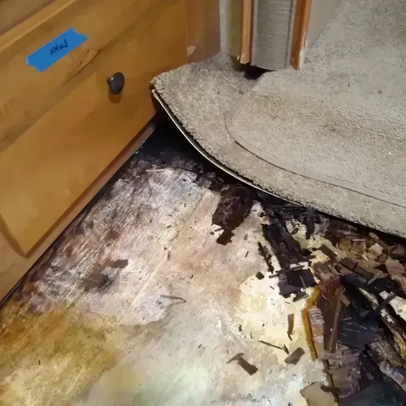 Wood Floor Water Damage in Richland, MO